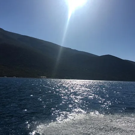 Apartment George Orikum